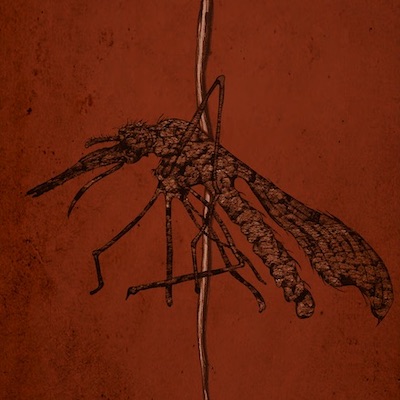 Insect Extinction